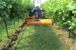 Vineyard-orchard mulchers